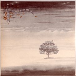 45. GENESIS-WIND AND WUTHERING-1976-ПЕРВЫЙ ПРЕСС UK-CHARISMA-NMINT/NMINT