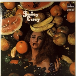 22. JUICY LUCY-SAME-1969-ПЕРВЫЙ ПРЕСС HOLLAND-FONTANA-NMINT/NMINT