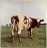 PINK FLOYD-ATOM HEART MOTHER-1970-FIRST PRESS (PROMO STICKER)UK-HARVEST-NMINT/NMINT