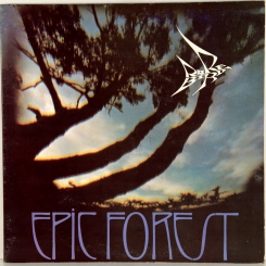36. RARE BIRD -EPIC FOREST-1972-ПЕРВЫЙ ПРЕСС UK-POLYDOR-NMINT/ARCHIVE