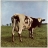 PINK FLOYD-ATOM HEART MOTHER-1970-ПЕРВЫЙ ПРЕСС UK-HARVEST-NMINT/NMINT