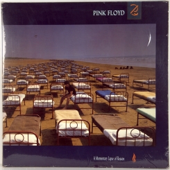80. PINK FLOYD-A MOMENTARY LAPSE OF REASON-1987-ПЕРВЫЙ ПРЕСС CANADA-COLUMBIA-NMINT/NMINT